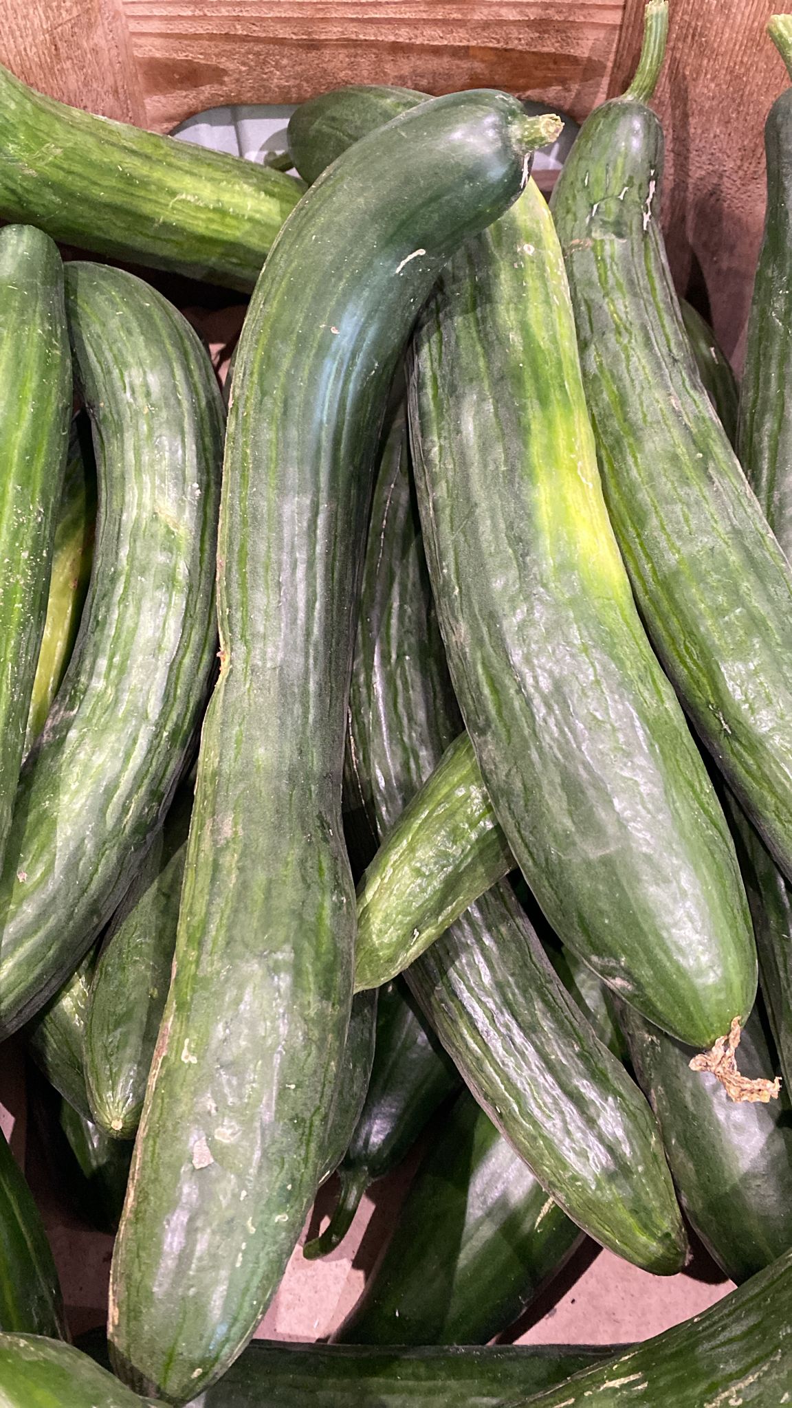 Frische Gurken aus unserem Garten